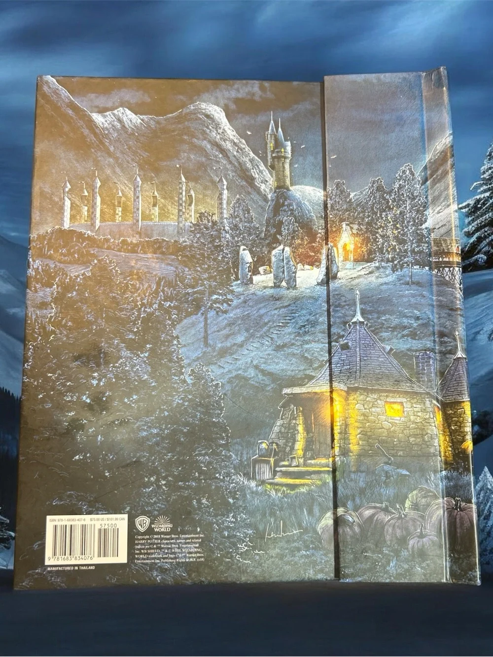 Harry Potter A Pop Up Guide To Hogwarts Hardcover Matthew Reinhart Matthew